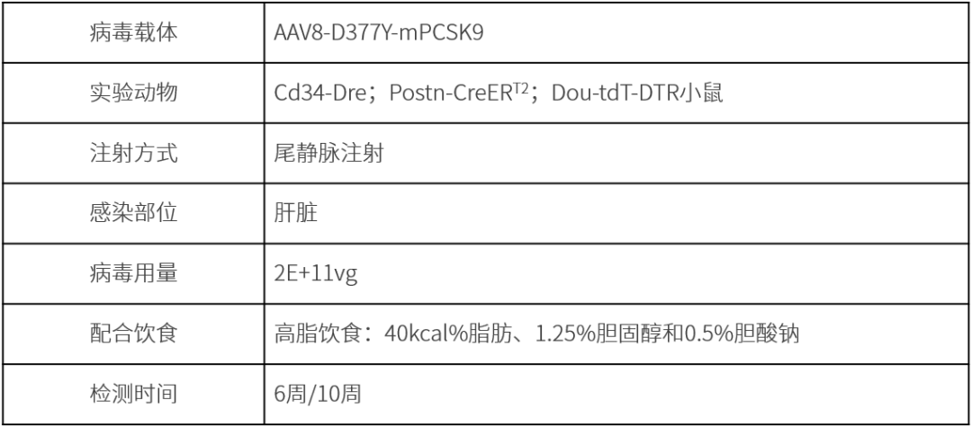248d268d3685668772e678a3cc8a2deb 248d268d3685668772e678a3cc8a2deb