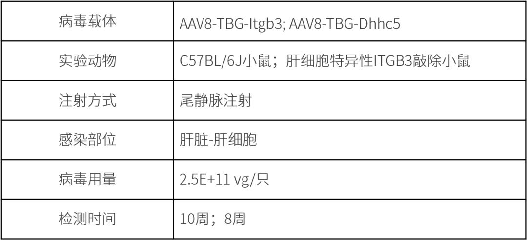 48231d6de4370e20c541300ea980b257