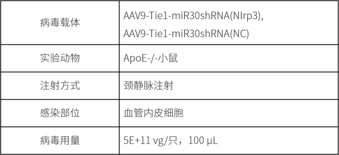 49f71a455555ac8182ab420968fb0831