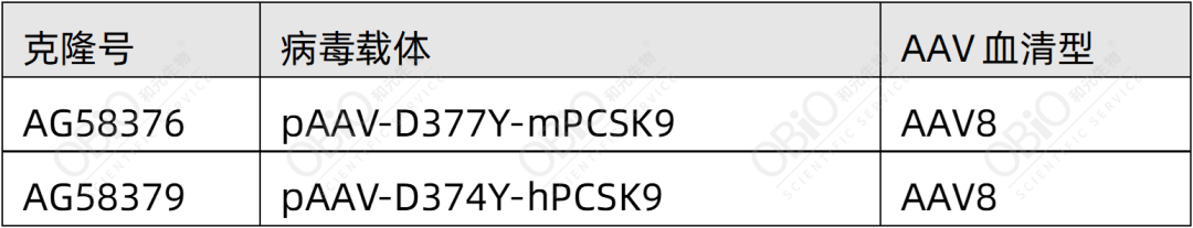 883c4173abe2057f9578bc2f6830504f 883c4173abe2057f9578bc2f6830504f