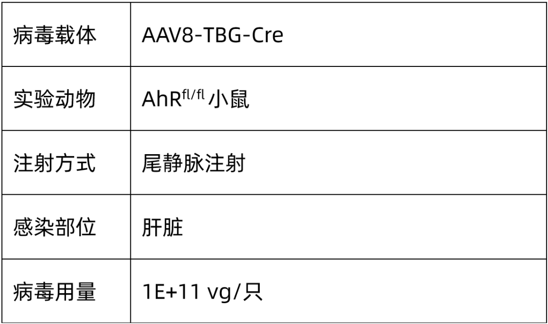 b97bf7606c377f724e005aecff610cbe b97bf7606c377f724e005aecff610cbe